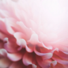 Ginecólogo opinando sobre la copa menstrual LifeCup - seguridad y recomendaciones