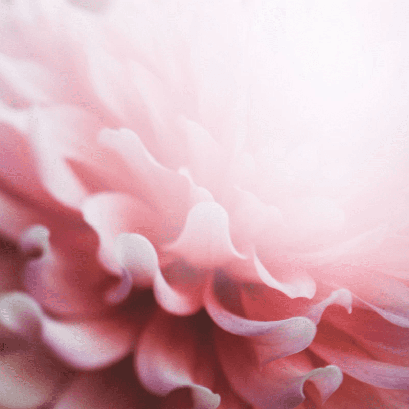 Ginecólogo opinando sobre la copa menstrual LifeCup - seguridad y recomendaciones